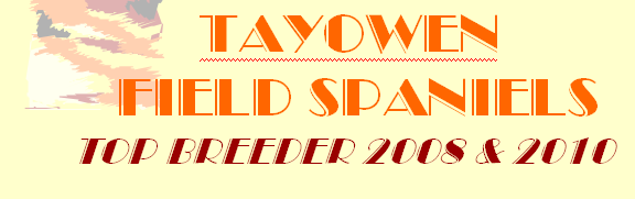  TAYOWEN 
  FIELD SPANIELS
TOP BREEDER 2008 & 2010