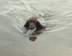 23 - Zoe in the water